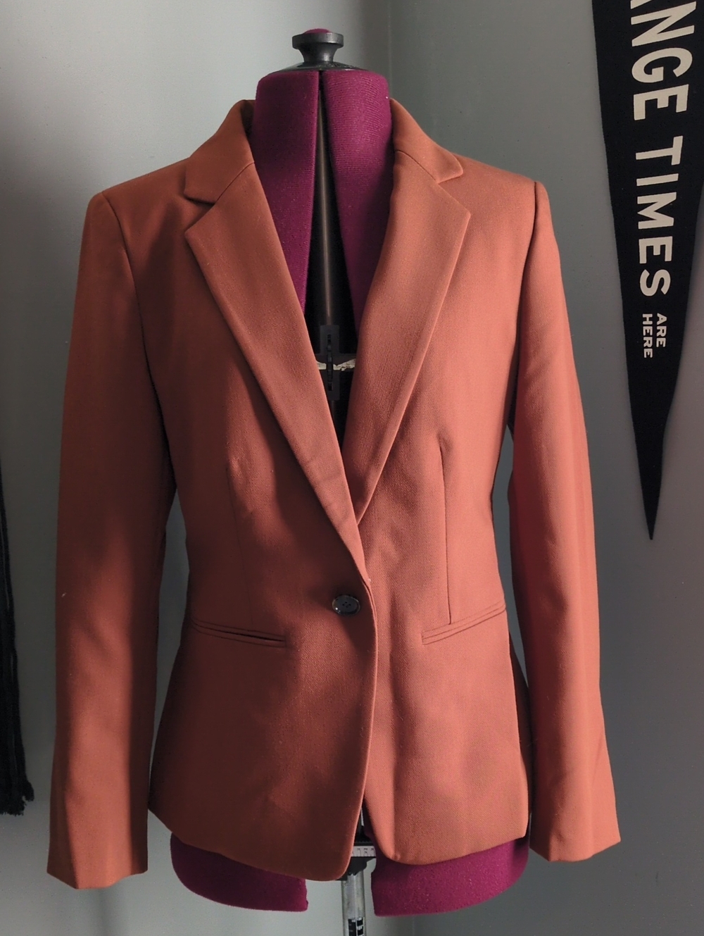 Ann Taylor Single-Button Blazer in Rust Brown 4 Petite